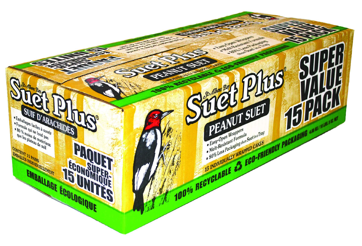St. Albans Bay Suet Plus peanut cakes, melt-resistant for year-round feeding.