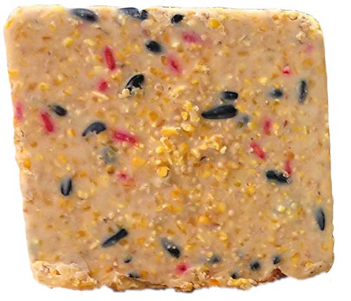 ST. ALBANS BAY SUET PLUS woodpecker-friendly formula close-up for melt-resistance