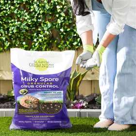 Milky Spore granules contacting grubs to begin action in the soil