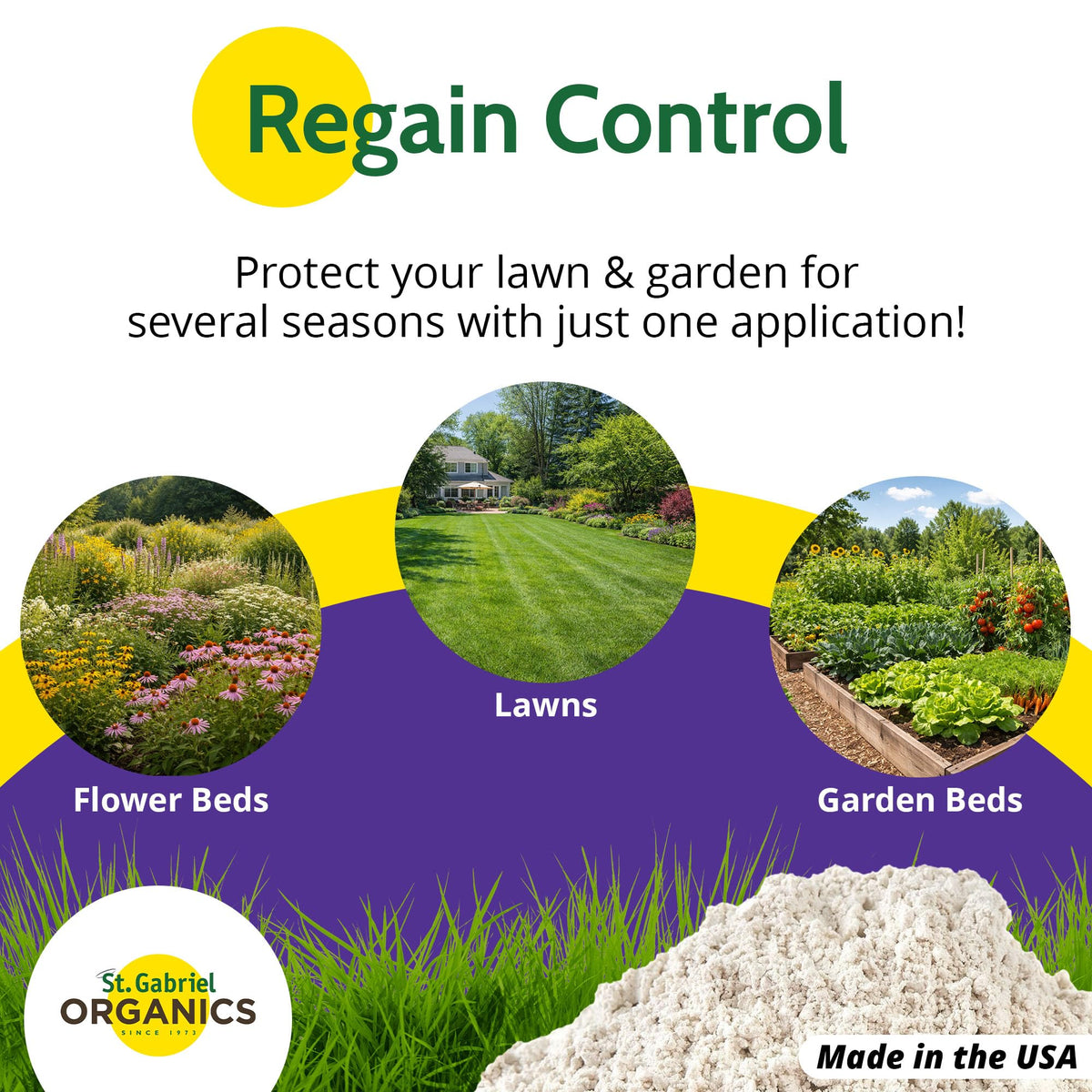 Milky Spore granules being applied with a spreader for easy lawn treatment.