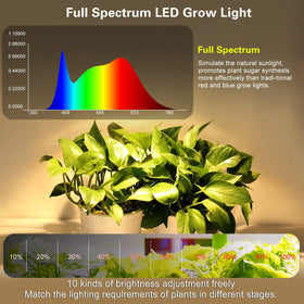 ST.MARY TINO grow light strip supports thriving indoor plants