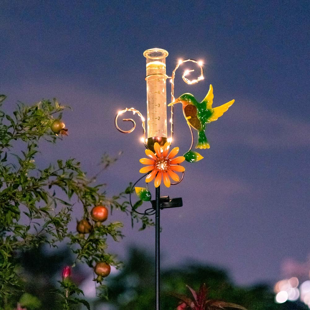 Stargarden solar-powered lights illuminate the gauge for night visibility.