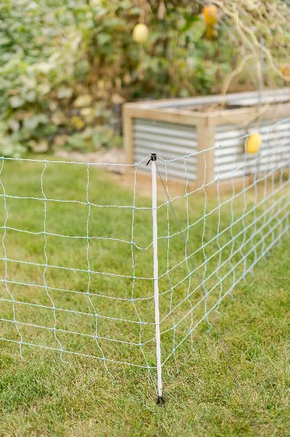 Starkline fiberglass posts illustrate lightweight, durable support in any weather.