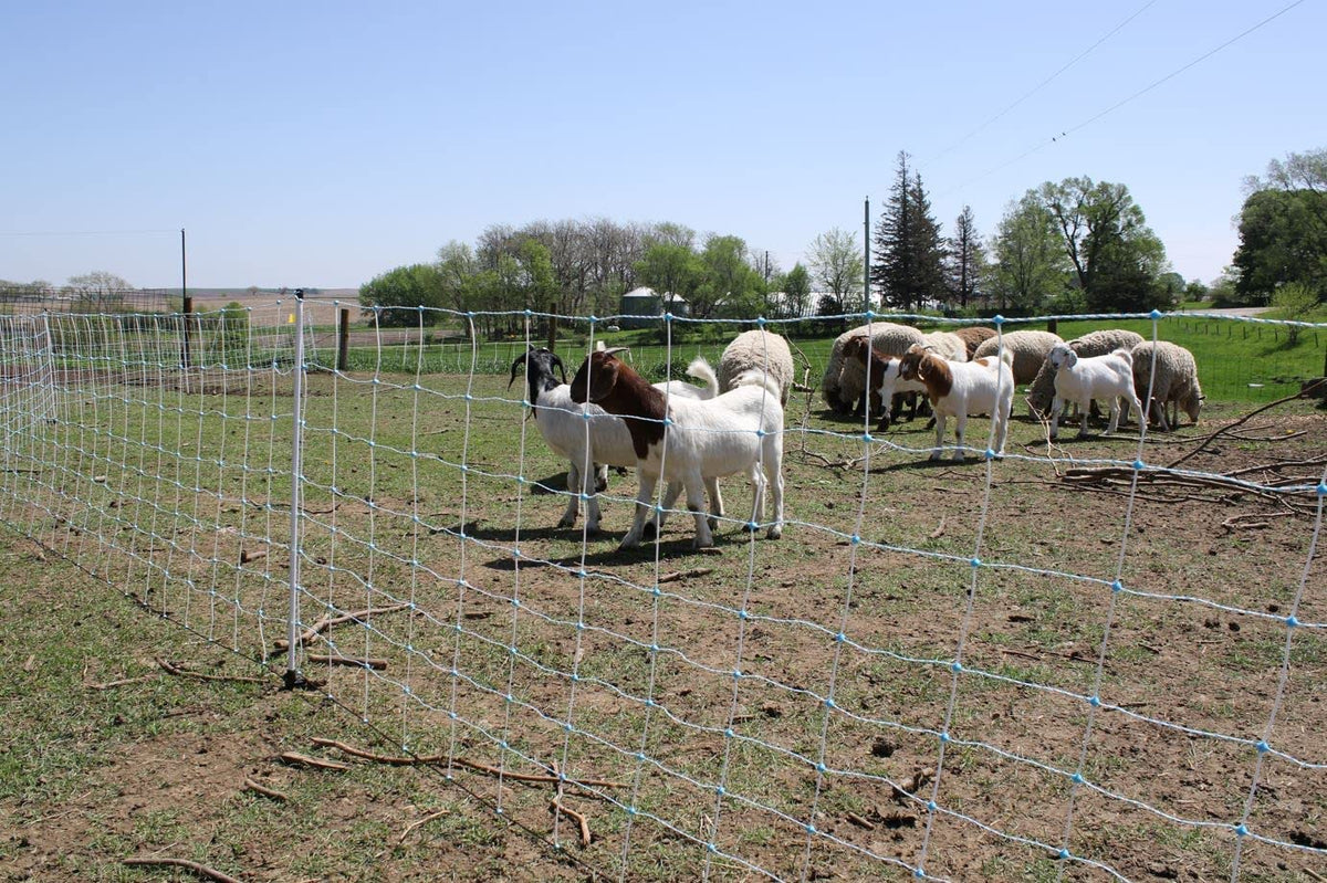 Starkline ready-to-install kit demonstrates quick, hassle-free fence deployment.