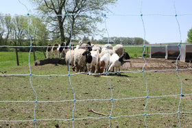 Starkline yard and farm applications show versatile fencing for pets and crops.