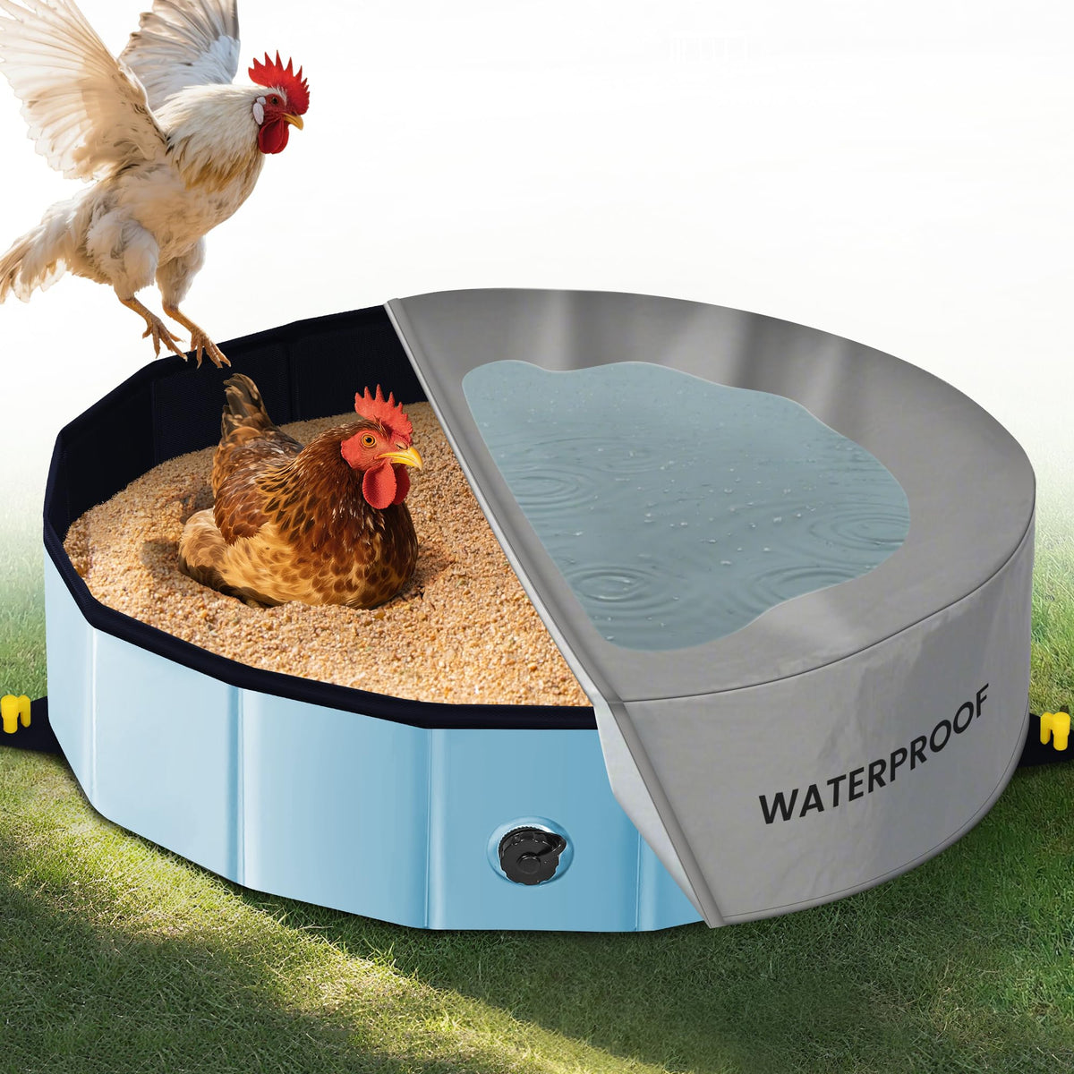 Starotatess chicken dust bath tub 32d-8h in-use for flock grooming