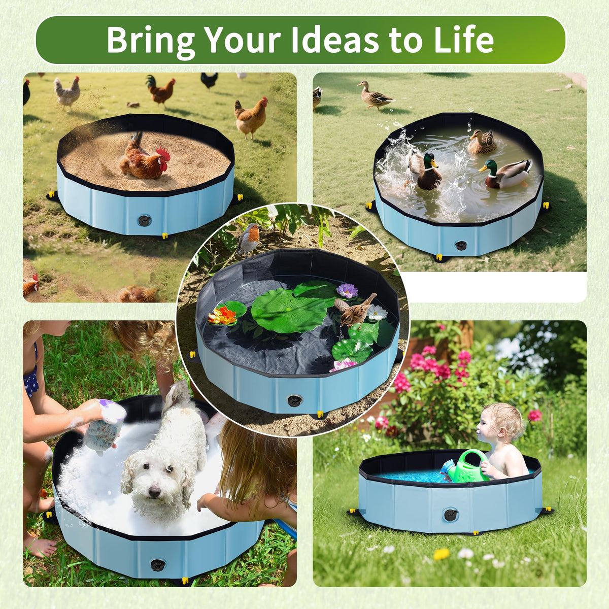 Starotatess versatile coop accessory doubles as duck pool when needed