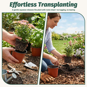 STARSIDE 4-inch pot size ideal for seed starting and up-potting.