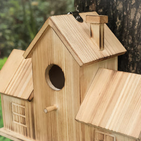 STARSWR side-hung bird house in garden setting for birds