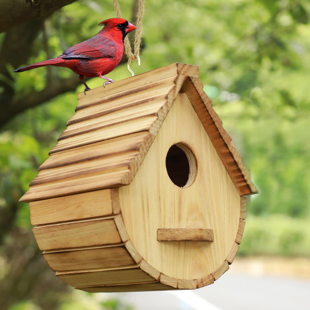 STARSWR birdhouse back door for easy cleaning and ventilation