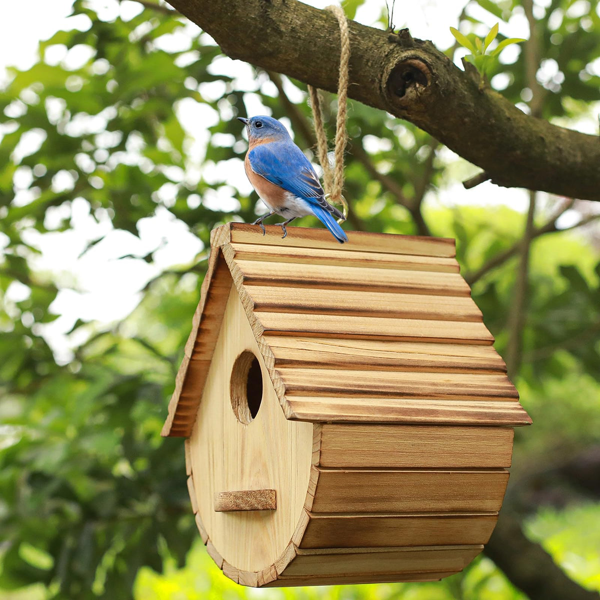 STARSWR drop shaped birdhouse with entrance and perch platform