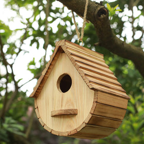 STARSWR birdhouse entrance accommodates birds with a 1.57 inch opening