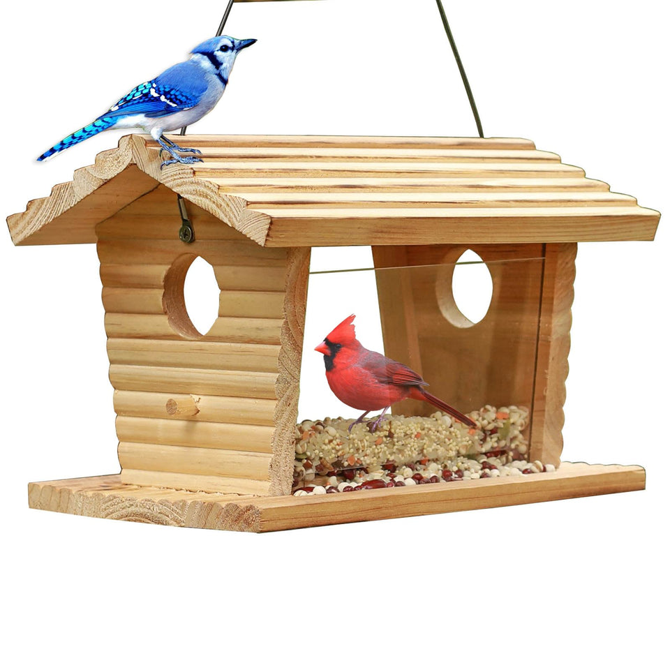 STARSWR Bluebird Feeder outside showcases wood design attracting cardinals and finches