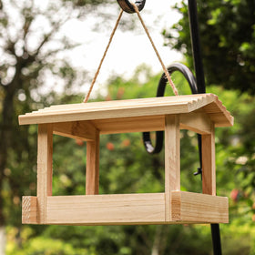 STARSWR bluebird-friendly design invites bluebirds to perch and feed safely.