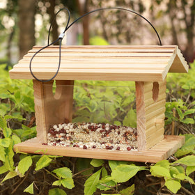STARSWR moisture-drainage tray keeps seeds dry after rain or snow