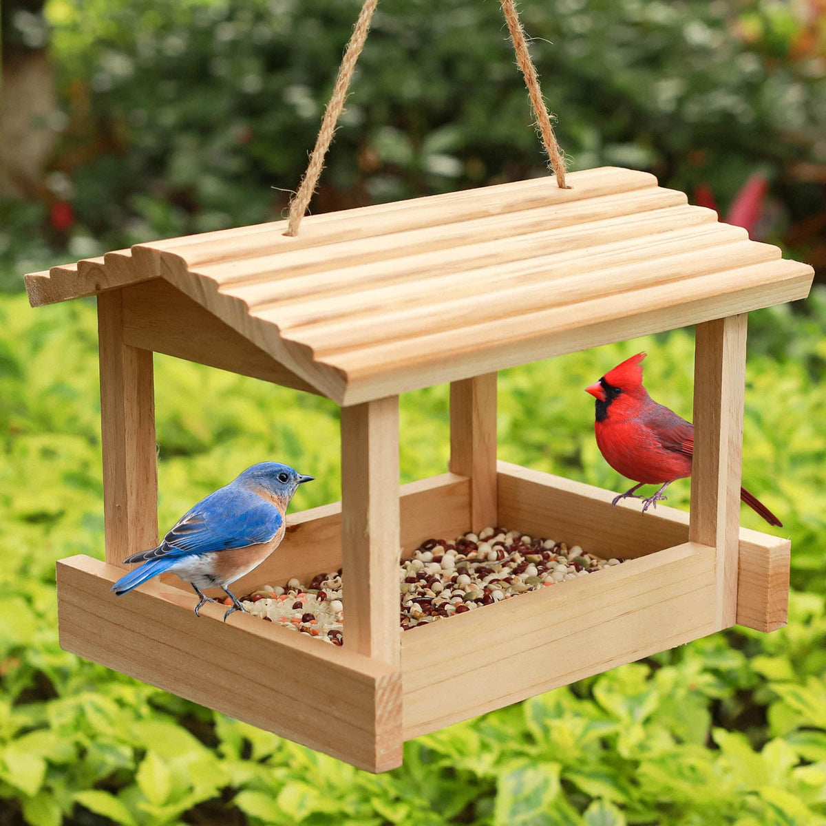 STARSWR outdoor bird feeder platform in natural wood attracts multiple bird species.