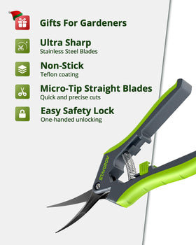 STAYGROW bonsai clippers for precise trimming of delicate plants.
