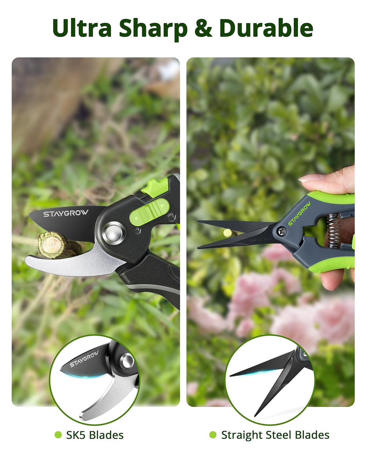 STAYGROW straight-cut scissors 6.5-inch ideal for delicate trimming.