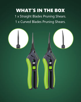 STAYGROW in-hand pruning demonstrates ergonomic trimming for herbs