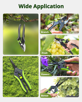 STAYGROW lifetime care coverage for long-term pruning tools.