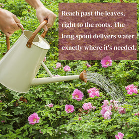 Stdemarzo galvanized steel garden can delivers a gentle, even flow to delicate foliage.