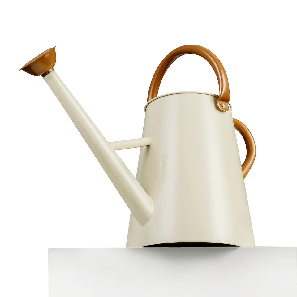 Stdemarzo metal watering can with removable spout for easy cleaning and versatile watering.