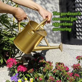 Stdemarzo 1-gallon capacity supports multiple plants between refills