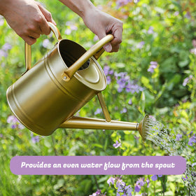 Stdemarzo can shown for indoor and outdoor use, demonstrating versatility