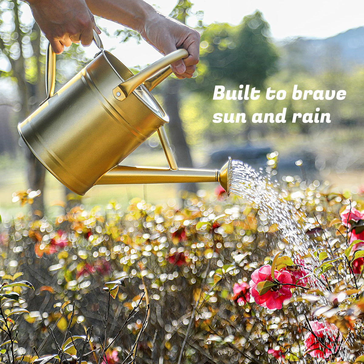 Stdemarzo removable spout enables gentle or broad watering