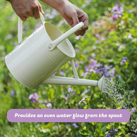 Stdemarzo white metal watering can blends vintage charm with practicality.