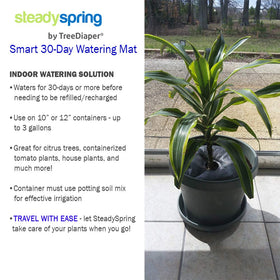 SteadySpring auto irrigation mat reduces daily watering chores