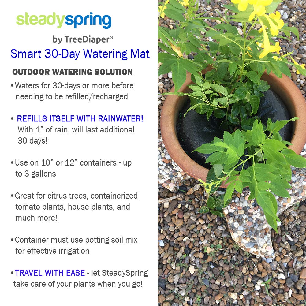SteadySpring supports 10–12 inch container setups for herbs