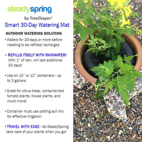 SteadySpring supports 10–12 inch container setups for herbs