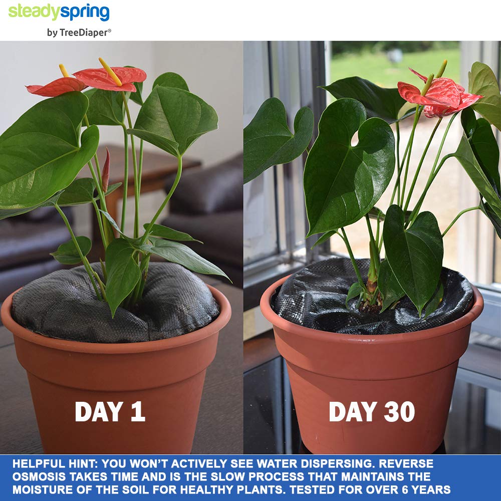 SteadySpring mat is charged by soaking 1–3 hours for hands-free irrigation