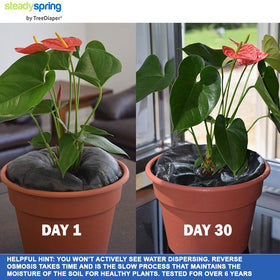 SteadySpring mat is charged by soaking 1–3 hours for hands-free irrigation