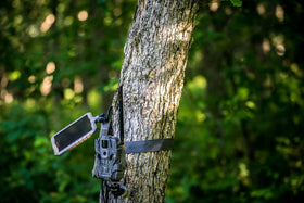 Stealth Cam Sol-Pak weather-resistant ABS housing protects against the elements.