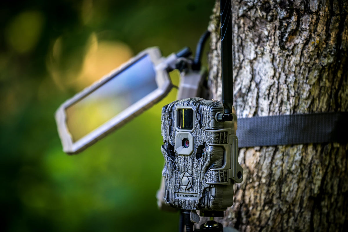 Stealth Cam Sol-Pak LED indicator shows battery life at a glance.