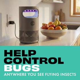 STEM Flying Insect Fan Trap with UV light on attracting pests quietly