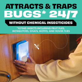 STEM Light Trap refill showcases gnat-trapping cartridge ideal for kitchen areas.