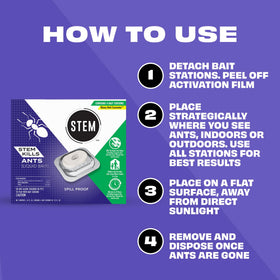 Ants move toward STEM bait in a corner room for colony-reaching control.