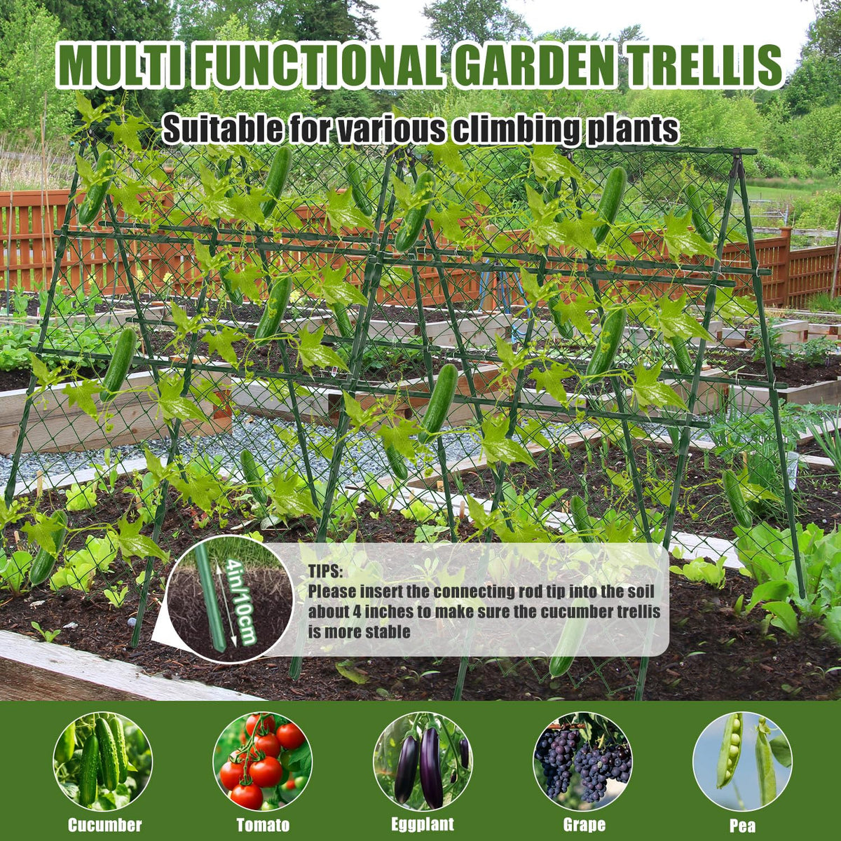 STFALI outdoor vegetable patch trellis is versatile for climbers
