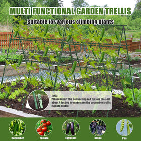 STFALI outdoor vegetable patch trellis is versatile for climbers