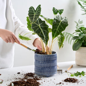 STHIE 3-footed base keeps the pot steady on desks.