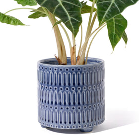 STHIE 5-inch ceramic planter with blue cactus motif, ideal for sunny windowsills.