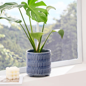 STHIE crackle glaze planter adds texture and modern style to any shelf.