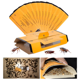 Stingmon 18-pack indoor roach traps set up for comprehensive pest control.