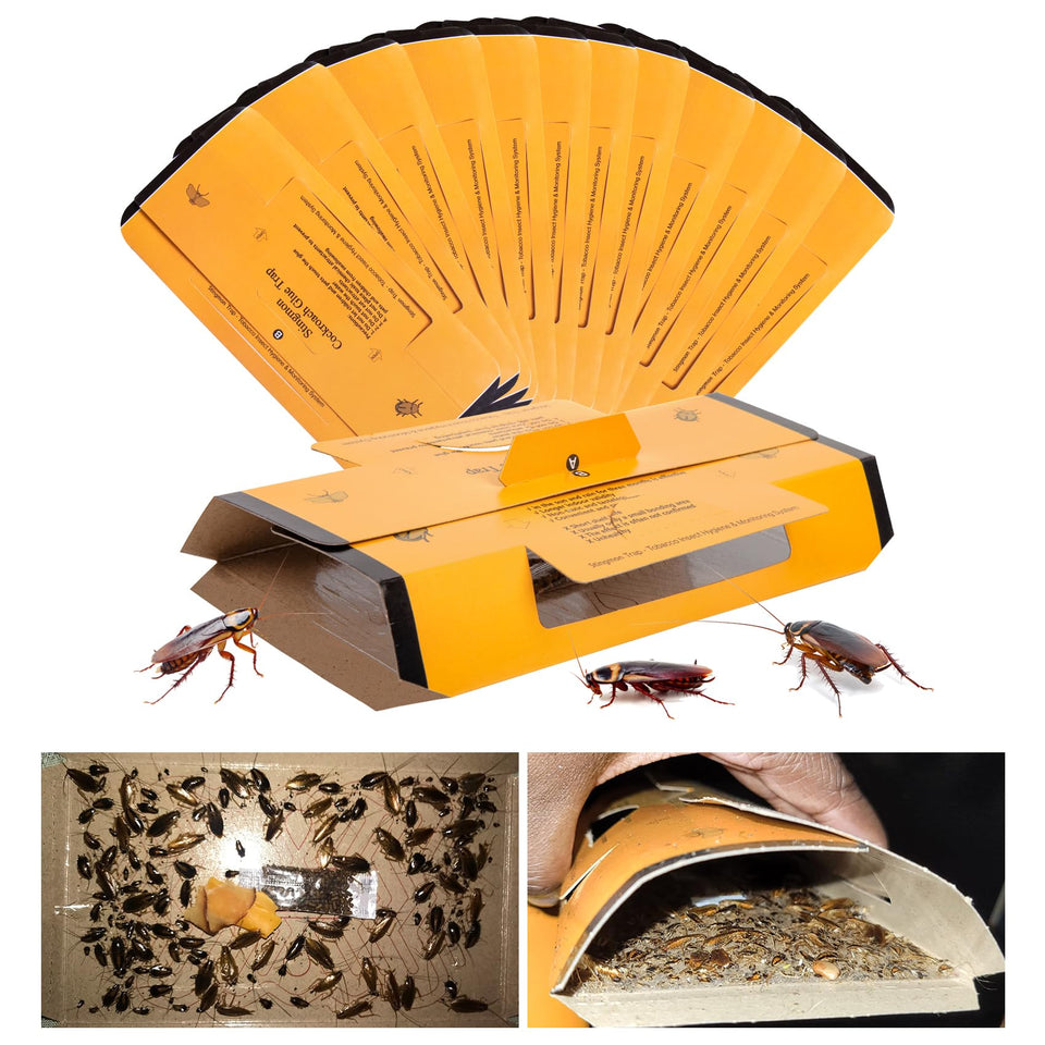 Stingmon 18-pack indoor roach traps set up for comprehensive pest control.