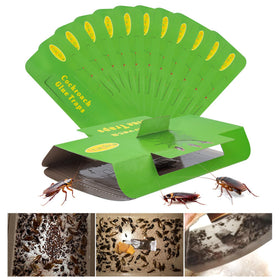 Stingmon 18-pack roach traps indoor for continuous protection.