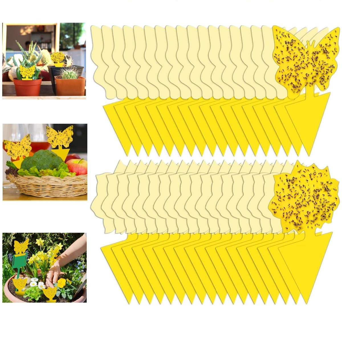 Stingmon 54-pack fruit fly trap for indoor use with bright yellow traps