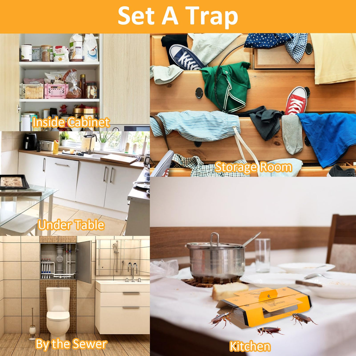 Stingmon bait-infused traps attract cockroaches with scent.